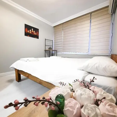 Two Bedroom In Osmanbey *